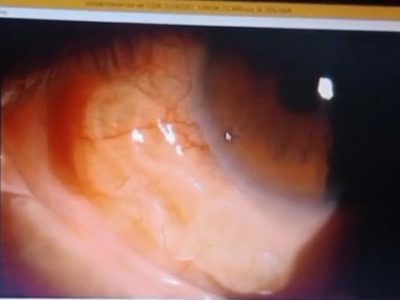 WhatsApp Image 2024-04-30 at 3.19.42 PM